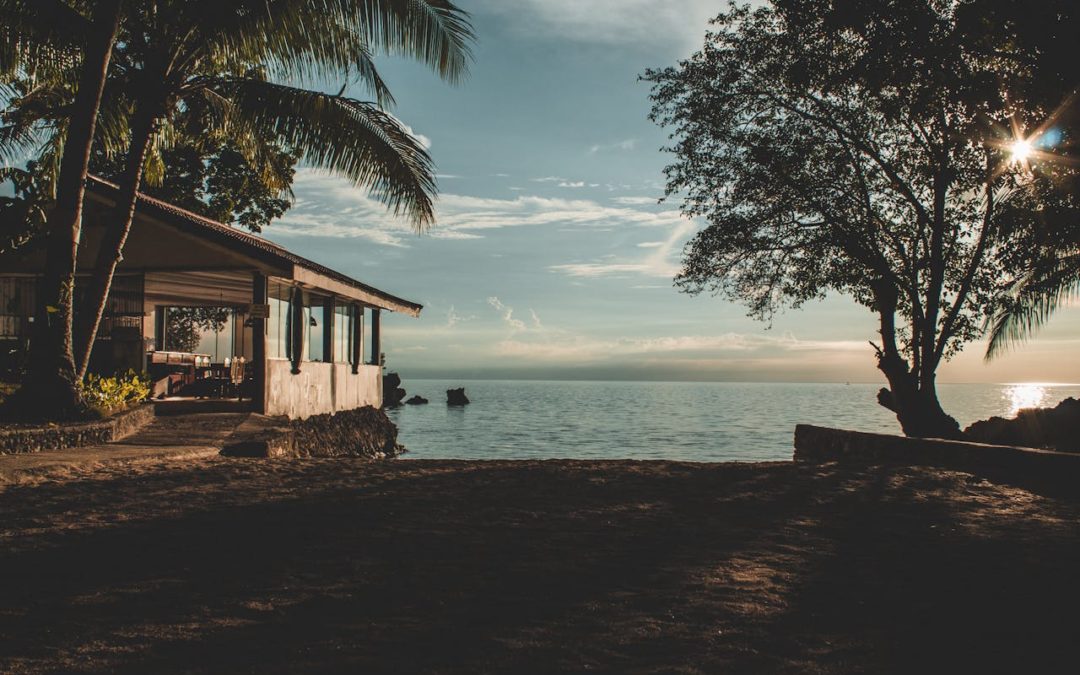 domek nad morzem przy palmach